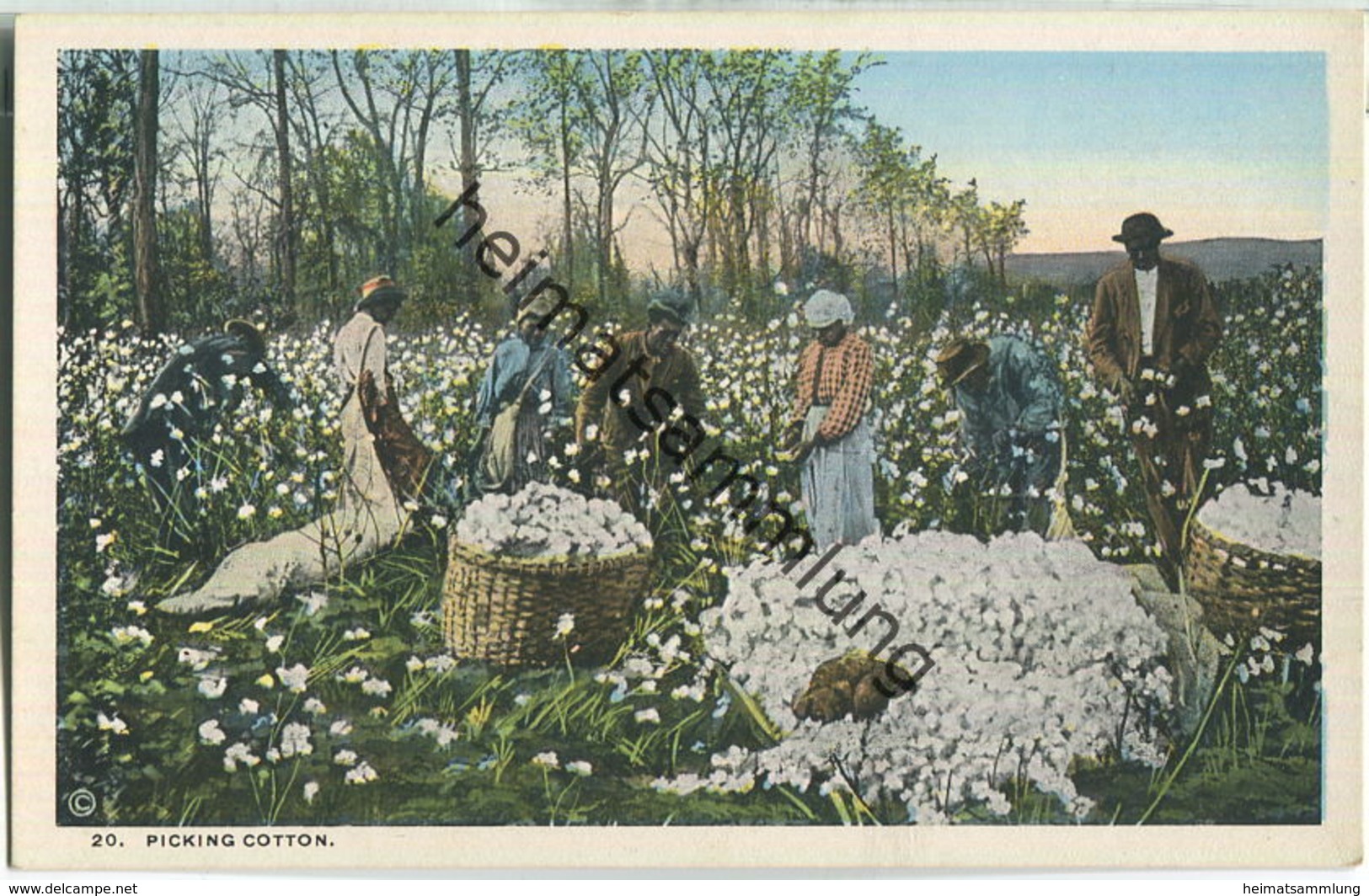 African-Americans - Picking Cotton - Black Americana