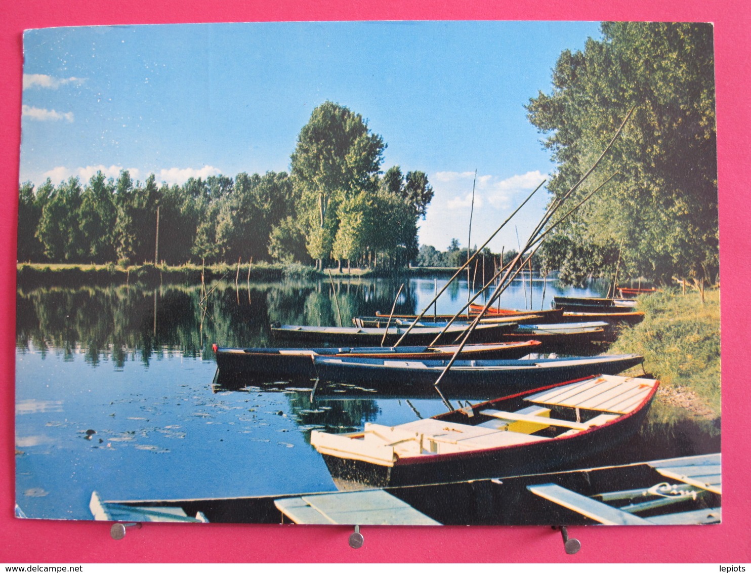 Visuel Pas Très Courant - Seiches Sur Le Loir - Bords Du Loir - Recto Verso - Seiches Sur Le Loir