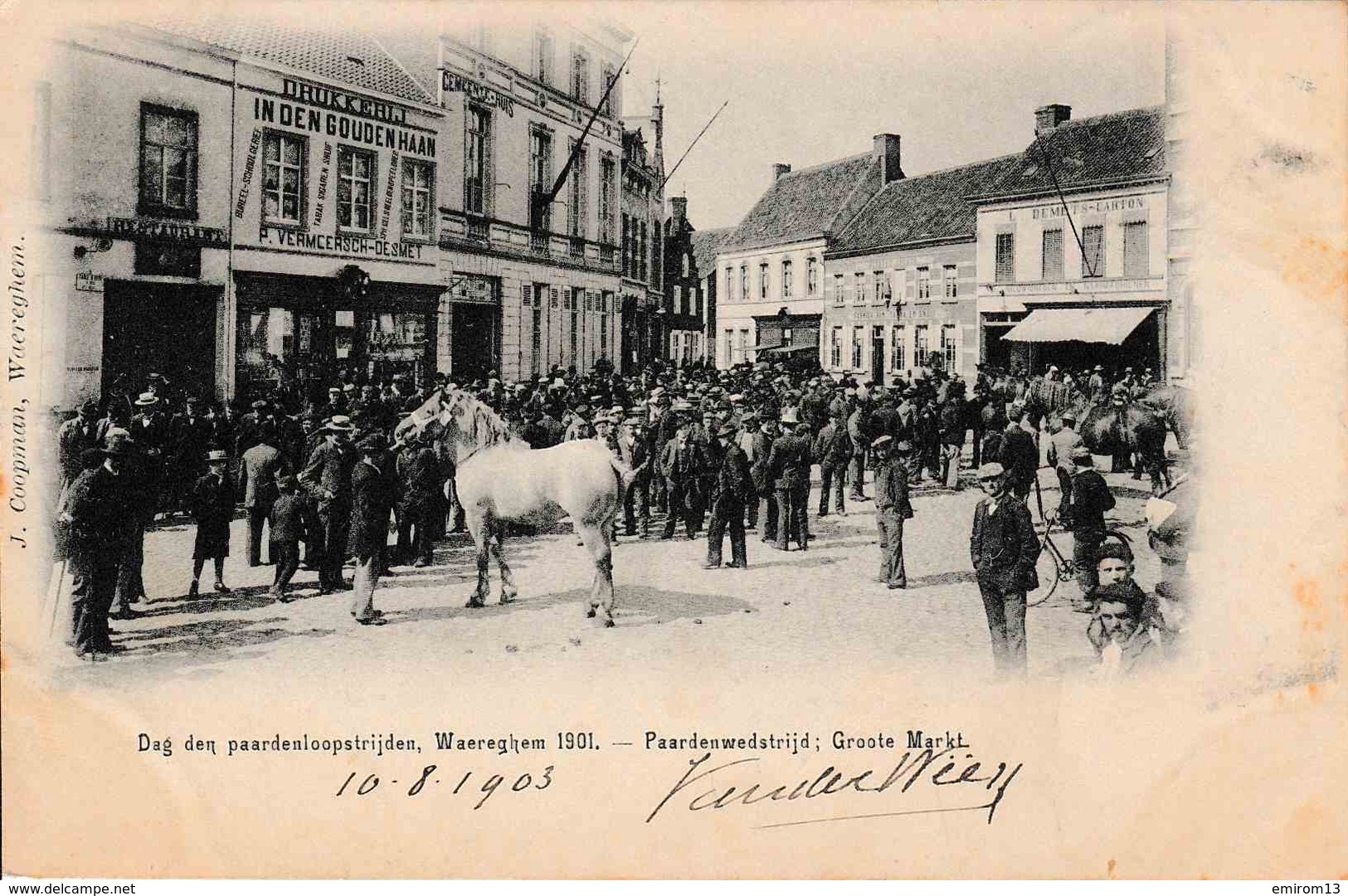 Waereghem Dag Den Pardenloopstrijden 1901 Paardenwedstrijd Groote Markt - Waregem
