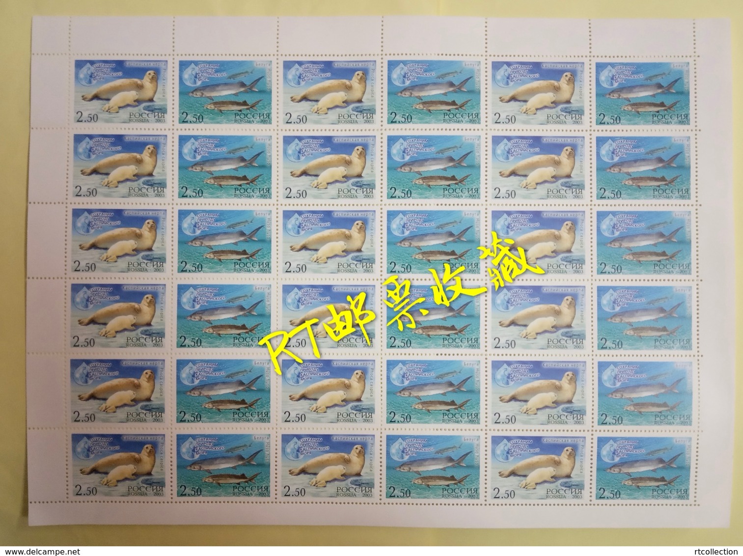 Russia 2003 Sheet Joint Issue Caspian Sea Marine Life Fauna Beluga Fish Seal Dog Animals Nature Stamps MNH Mi 1118-1119 - Ganze Bögen