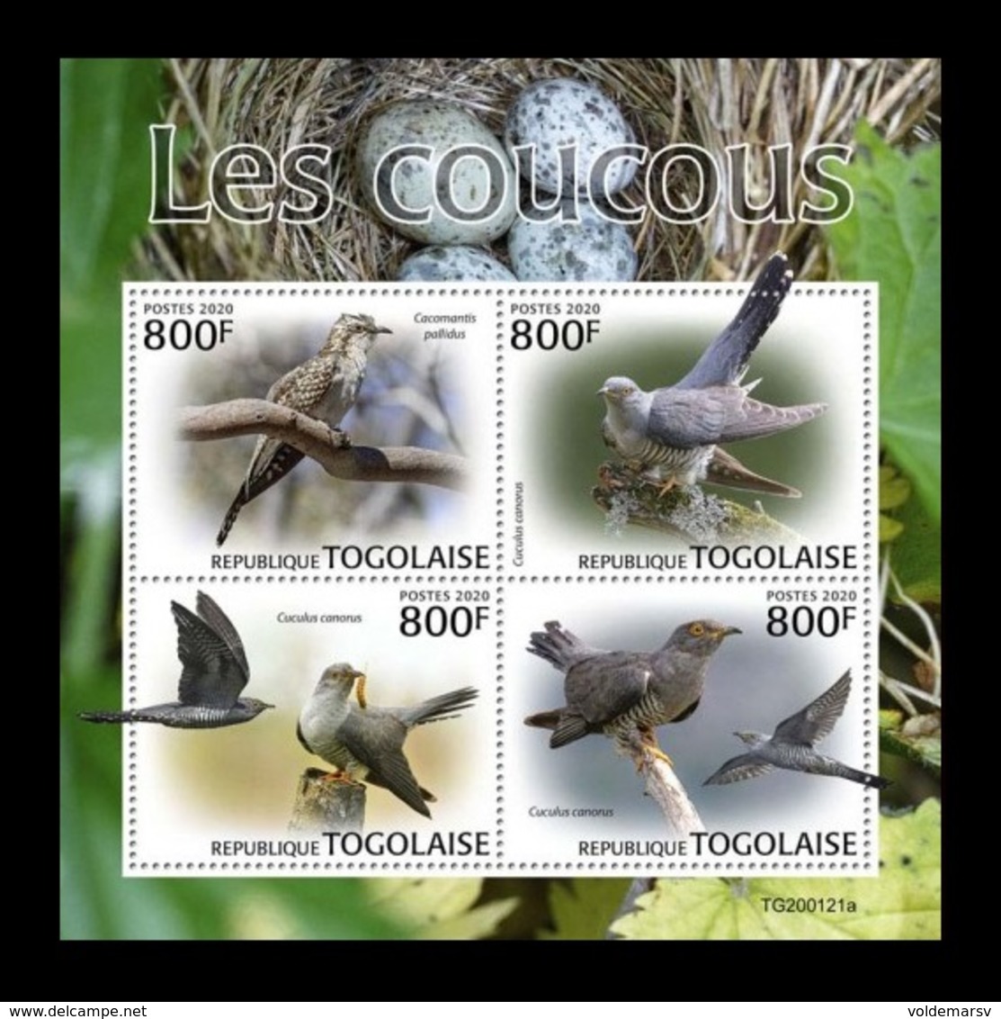 Togo 2020 Mih. 11124/27 Fauna. Birds. Cuckoos MNH ** - Togo (1960-...)