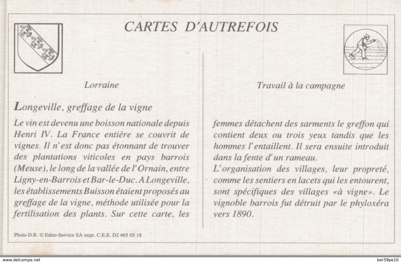 CARTES D'AUTREFOIS  TRAVAIL A LA CAMPAGNE  LORRAINE  LONGEVILLE  GREFFAGE DE LA VIGNE - Lorraine