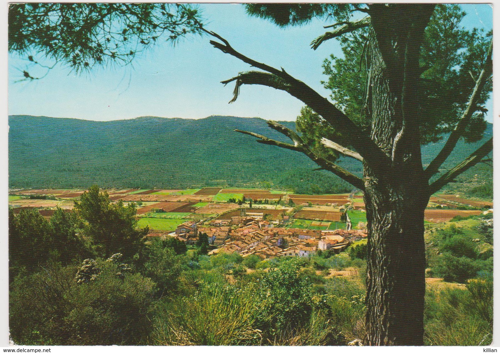 Signes Vue Générale - Signes