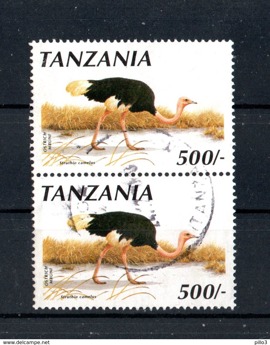 TANZANIA  :   Struzzi  "Struthio  Camelus  Molybdophanes"  -  Coppia  USATA -  15.12.1990 - Struzzi