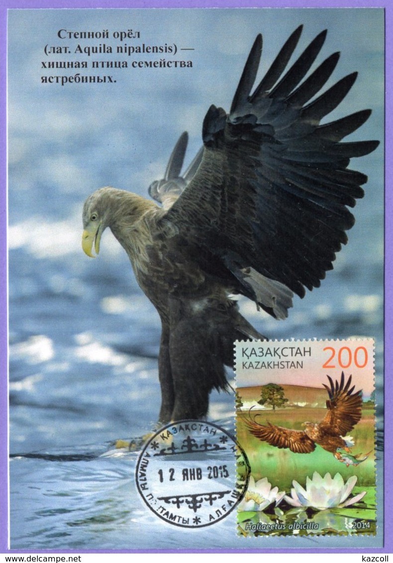 Kazakhstan 2015 (2014). Maxicard. Naurzum Nature Reserve. Fauna.  Birds. White Tailed Eagle. Maximum Cards. - Adler & Greifvögel