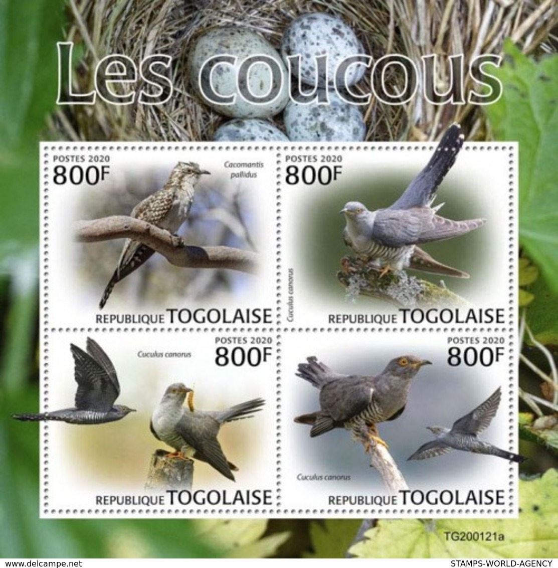 2020-04- TOGO -  CUCKOOS  BIRDS            4V      MNH** - Coucous, Touracos