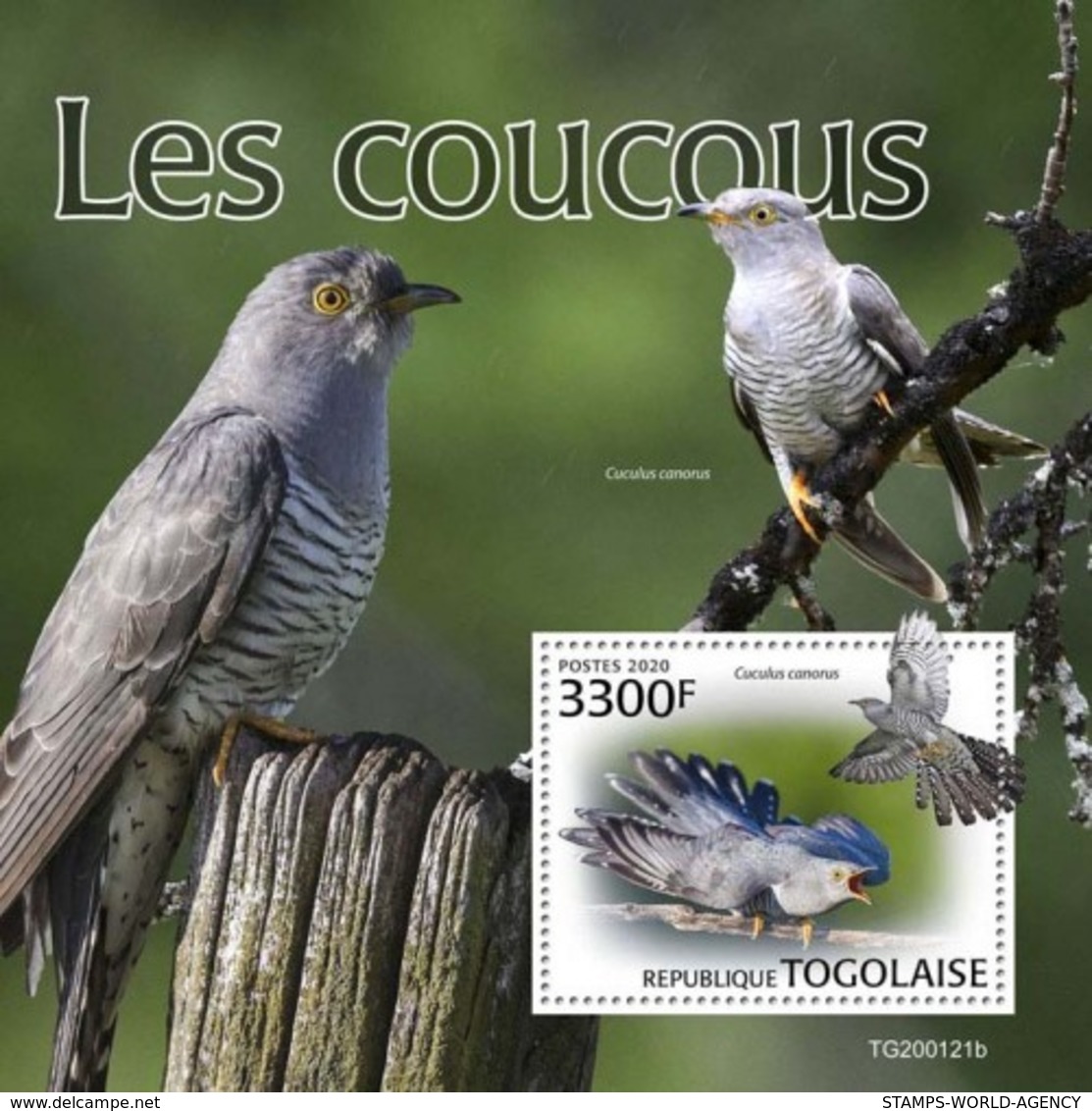 2020-04- TOGO -  CUCKOOS  BIRDS            1V      MNH** - Coucous, Touracos
