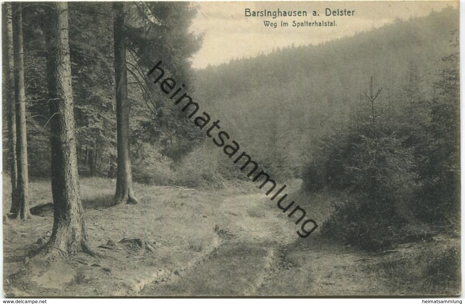Barsinghausen Am Deister - Weg Im Spalterhalstal - Verlag August Brandes Barsinghausen - Gel. 1909 - Barsinghausen