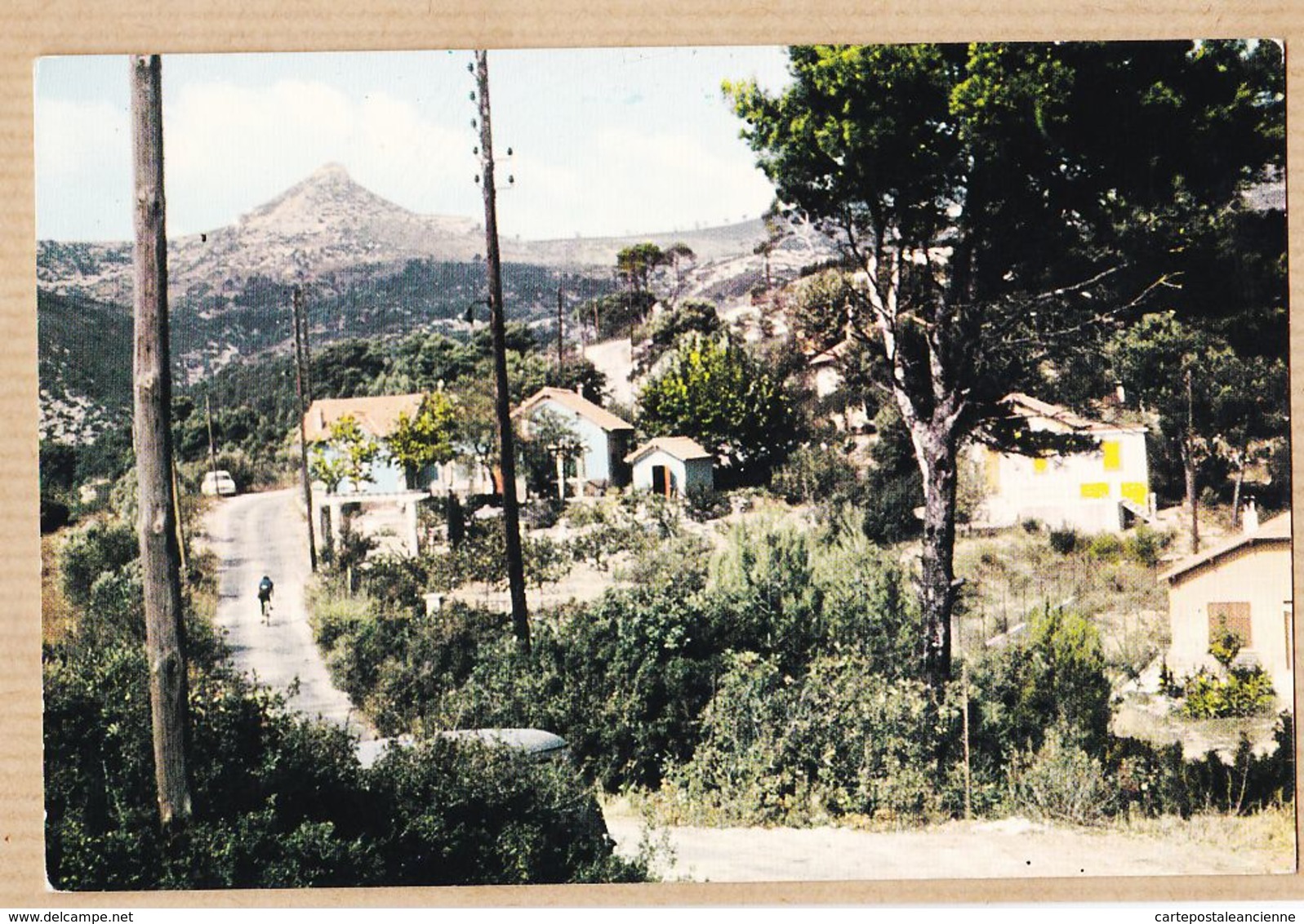 X13319 LA TREILLE Env. MARSEILLE  Route Du BELLON 1965s -JASYBER 3 - Andere & Zonder Classificatie