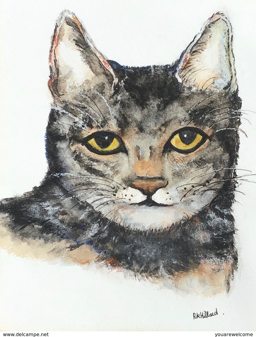 Rosemarie Khan Hillard (artist Torquay Devon GB) Cat Watercolor Painting(British Art Animal Kunst Katze Chat Peinture - Aquarelles