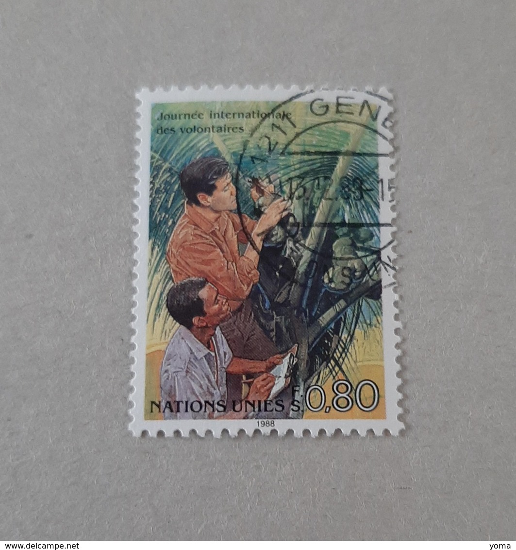 N° 167       Agriculture  -  Cocotier - Used Stamps