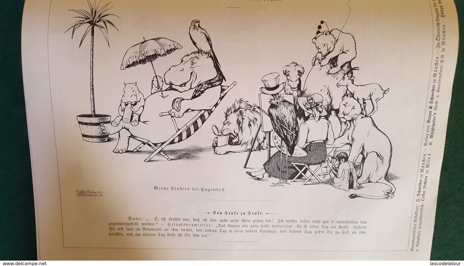 LES FEUILLES VOLANTES FLIEGENDE BLATTER Caricatures Année 1909 En 2 Volumes Reliés - Loisirs & Collections