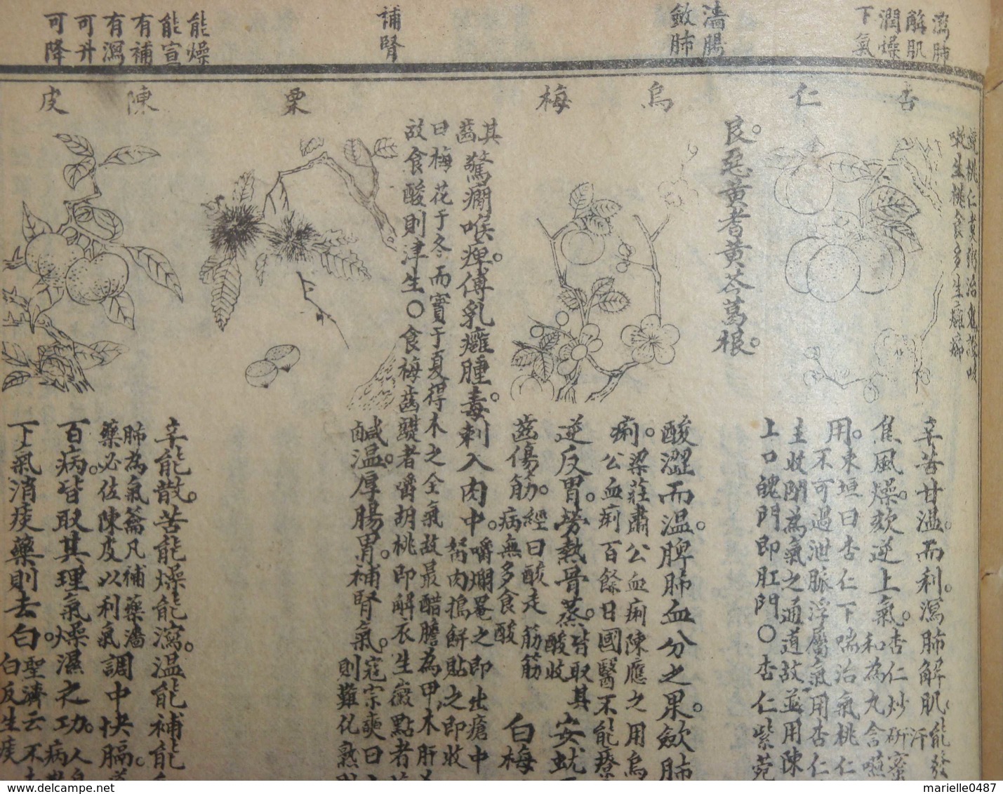 Ben cao gang mu - Recueil de médecine chinoise. 6 volumes