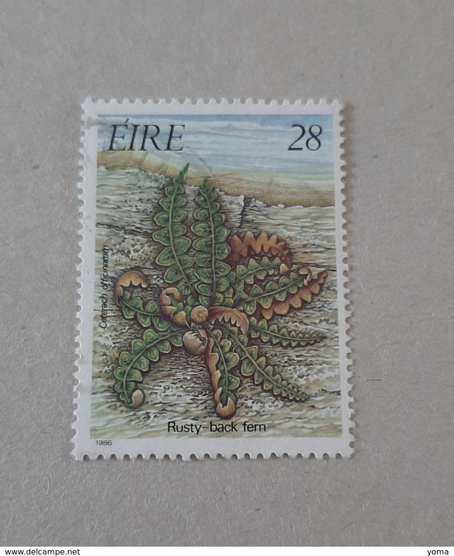 N° 590       Fougères - Used Stamps