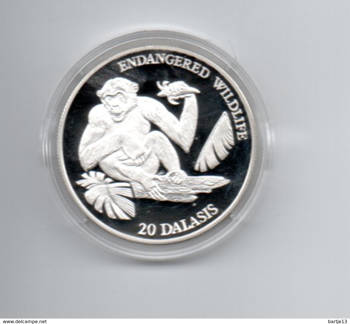 GAMBIA 20 DALASIS ZILVER PROOF 1994 ENDANGERED WILDLIFE CHIMPANSEE - Gambie