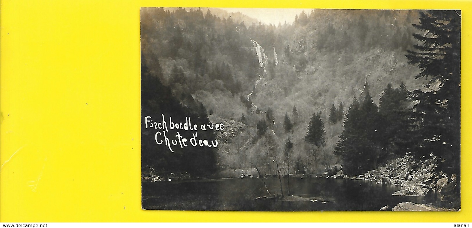 Carte Photo Rare FISCH BOEDLE Cute D'Eau () Haut Rhin (68) - Wittenheim