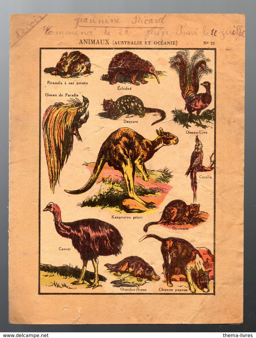 Protège Cahier.... ANIMAUX D'AUSTRALIE ET OCEANIE (M2370) - Tiere