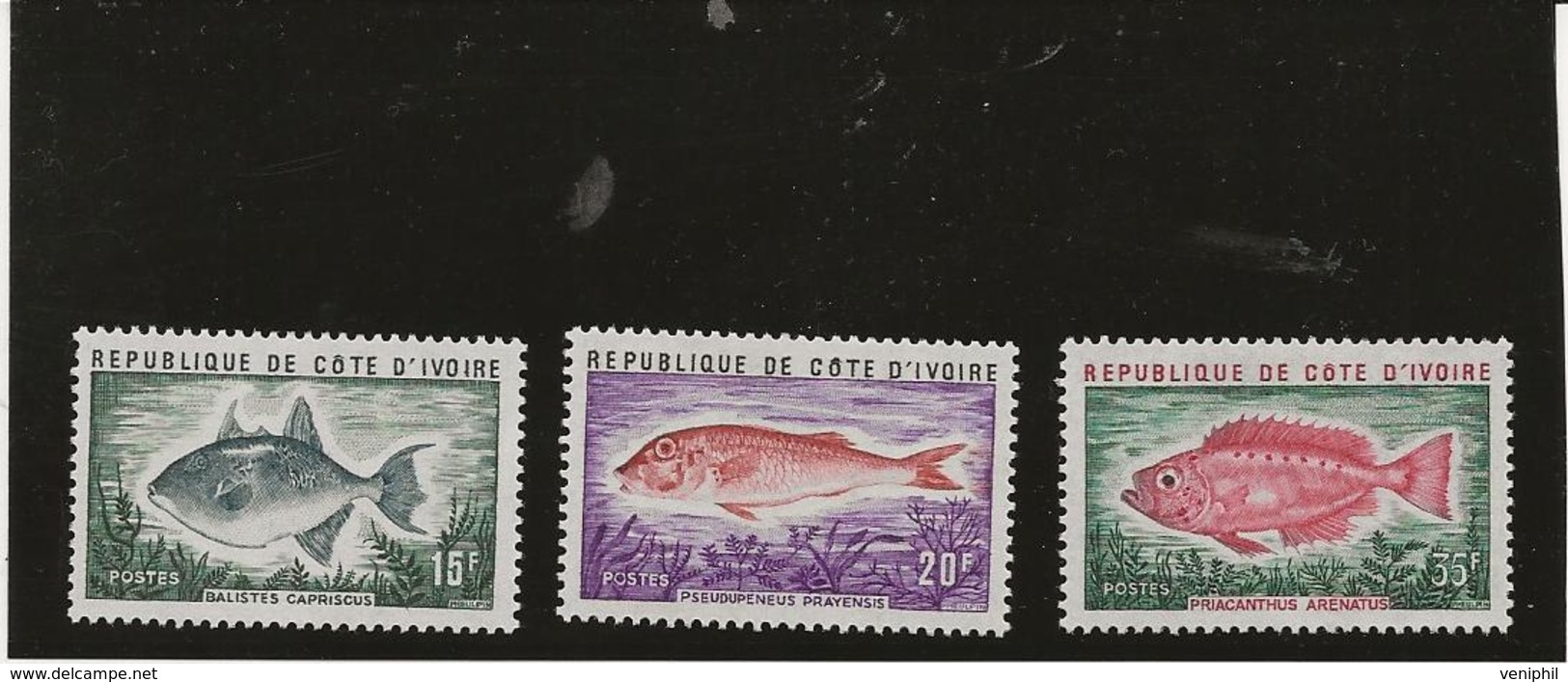 COTE D'IVOIRE - SERIE POISSONS N° 354 A 356 NEUF INFIME CHARNIERE - ANNEE 1973 -COTE : 10 € - Ivoorkust (1960-...)