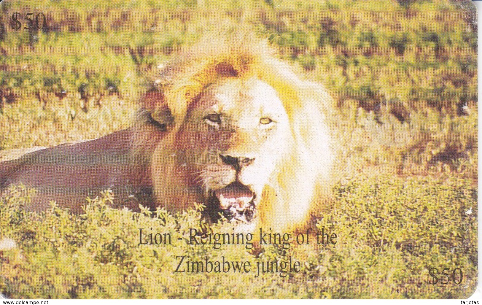 TARJETA DE ZIMBAWE DE UN LEON (LION) - Simbabwe