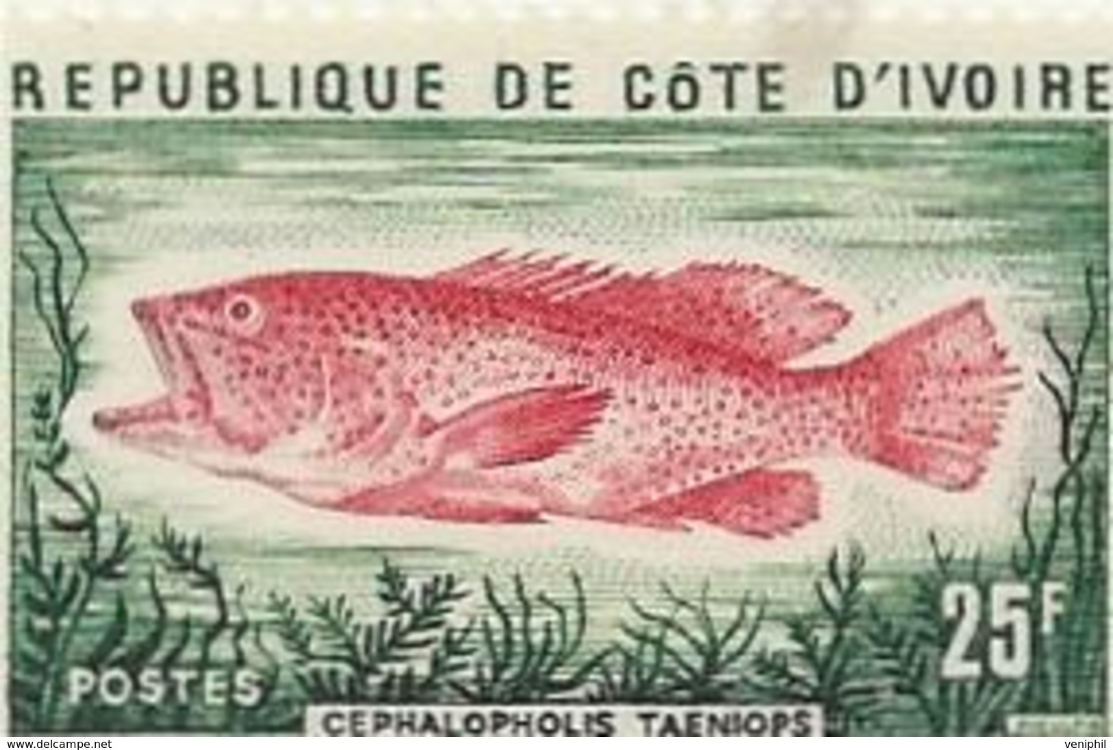 COTE D'IVOIRE - POISSON -N° 366 NEUF SANS CHARNIERE -ANNEE 1977 - COTE :6 € - Côte D'Ivoire (1960-...)