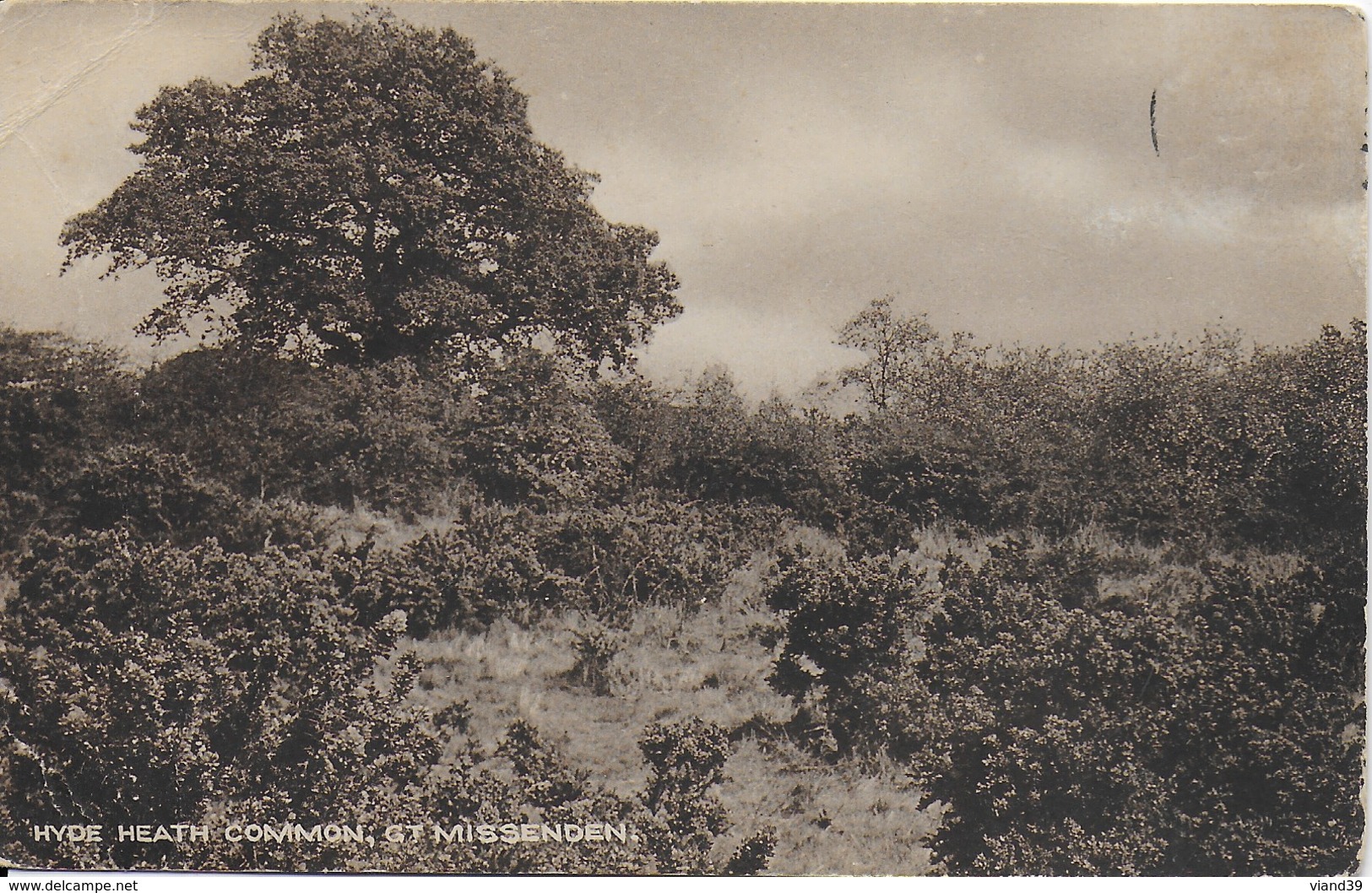 Hyde Heath Common, Great Missenden - Buckinghamshire