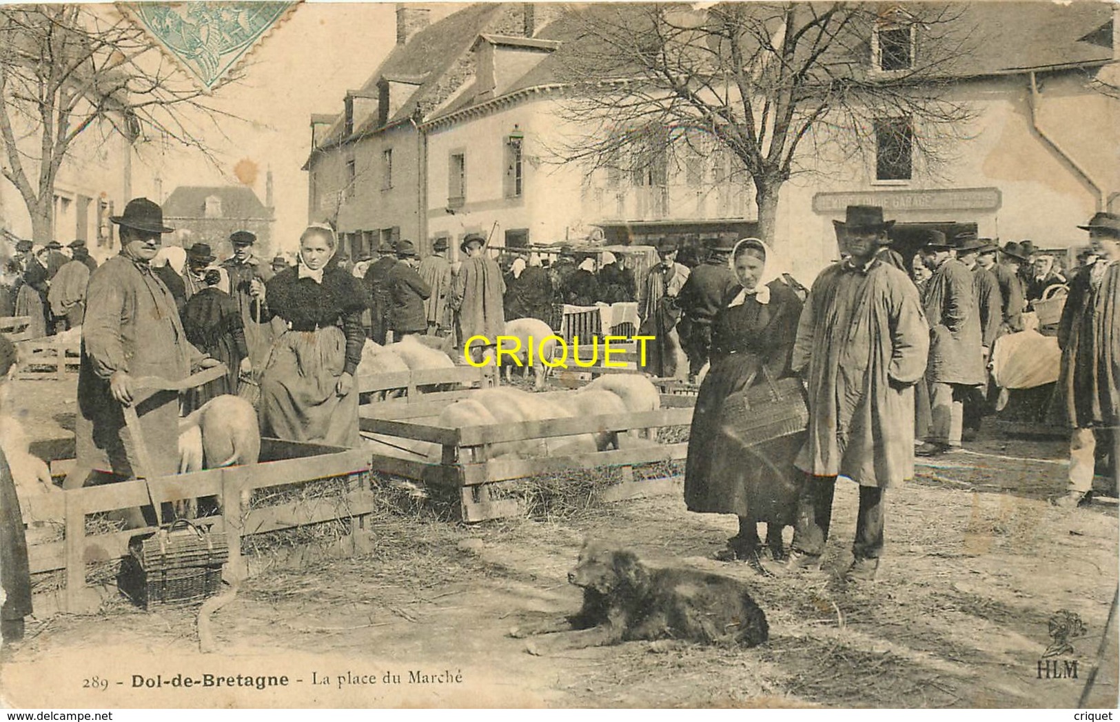 35 Dol De Bretagne, Place Du Marché, Beau Plan Du Marché Aux Porcs, Affranchie 1906 - Dol De Bretagne