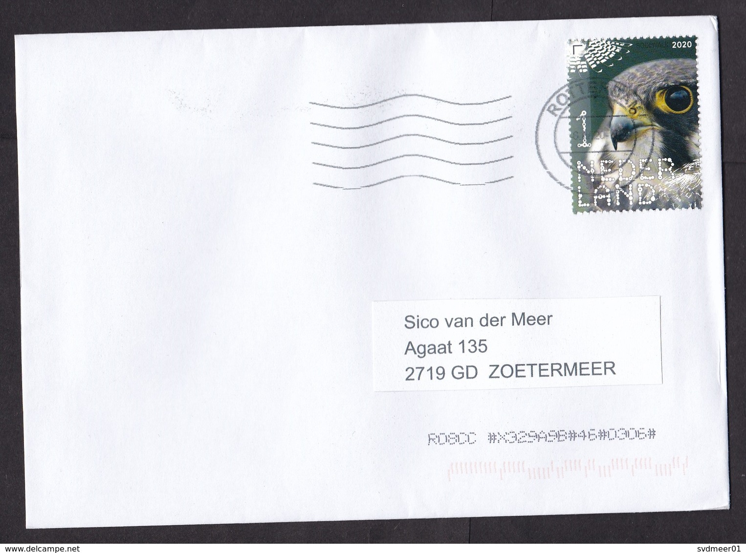 Netherlands: Cover, 2020, 1 Stamp, Hawk Bird, Endangered Animal (traces Of Use) - Storia Postale