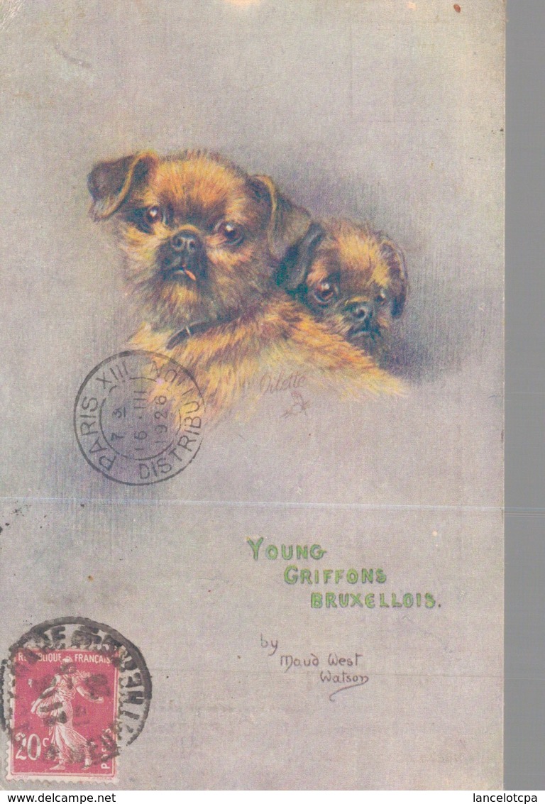 MAUD WEST WATSON / YOUNG GRIFFONS BRUXELLOIS (CHIEN) - Other & Unclassified