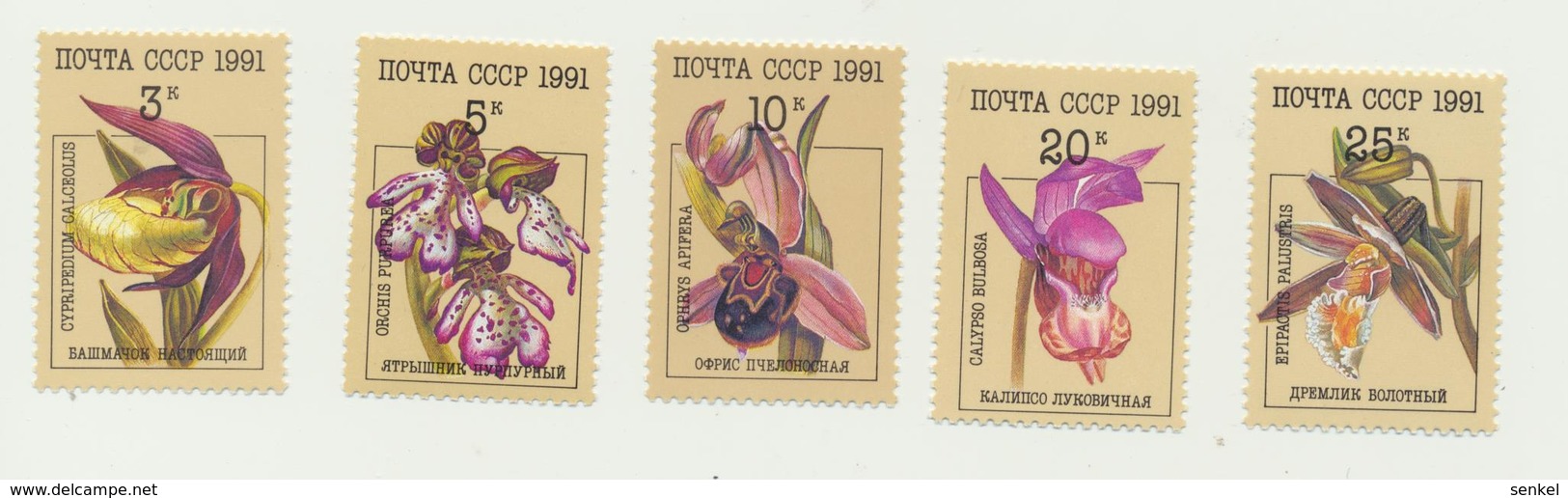 713 USSR 1991 Mi 6192-96 1,0 € Mint Flowers - Autres & Non Classés