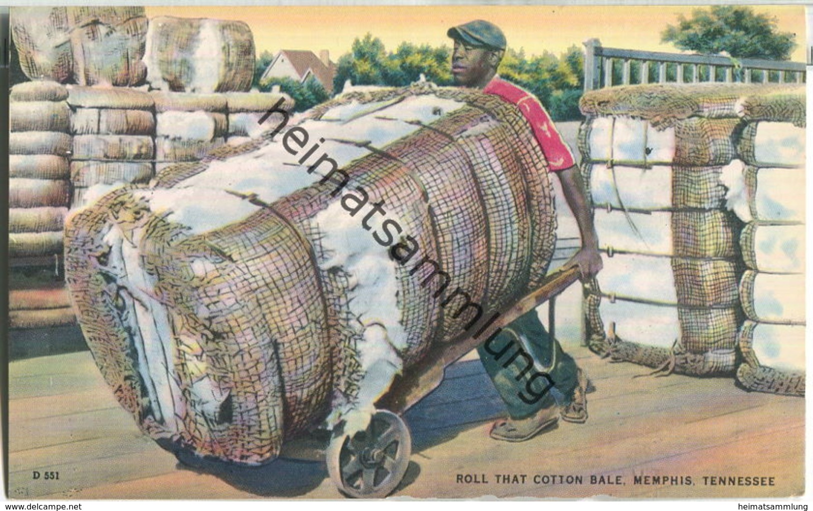 African-Americans - Roll That Cotton Bale - Memphis Tennessee - Black Americana