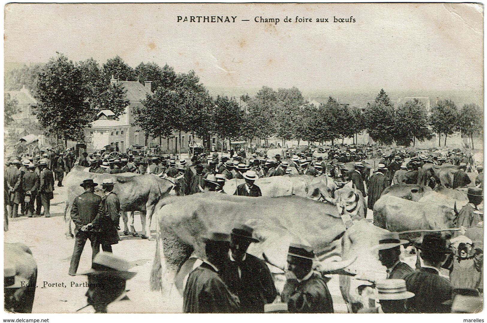 CPA Parthenay 79. Champ De Foire Aux Boeufs, Animée - Parthenay