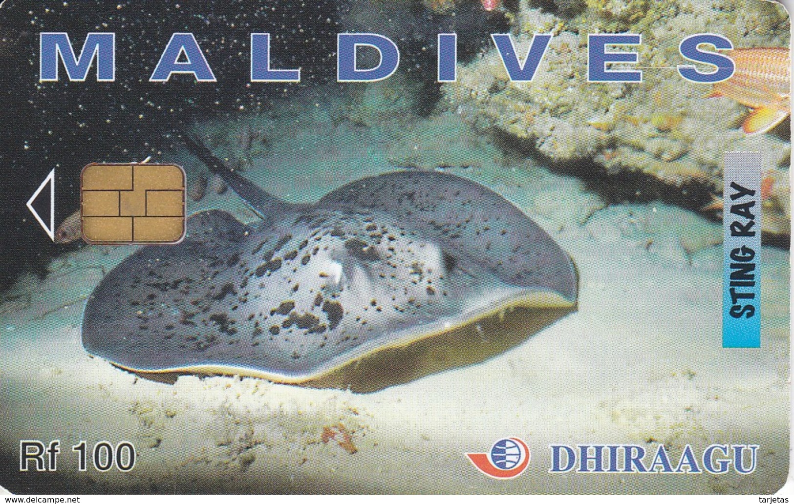 TARJETA DE MALDIVES DE UNA MANTA RAYA  (STING RAY) PEZ-FISH - Maldivas