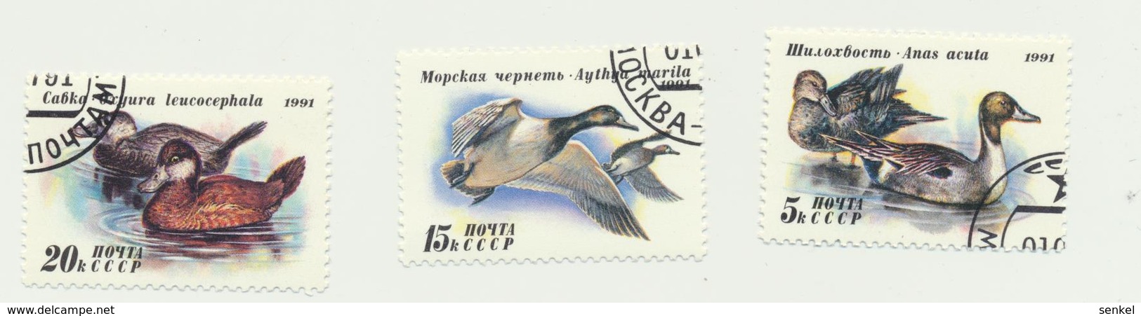 743 USSR 1991 Mi 6210-12  0,3 € Birds Used - Other & Unclassified