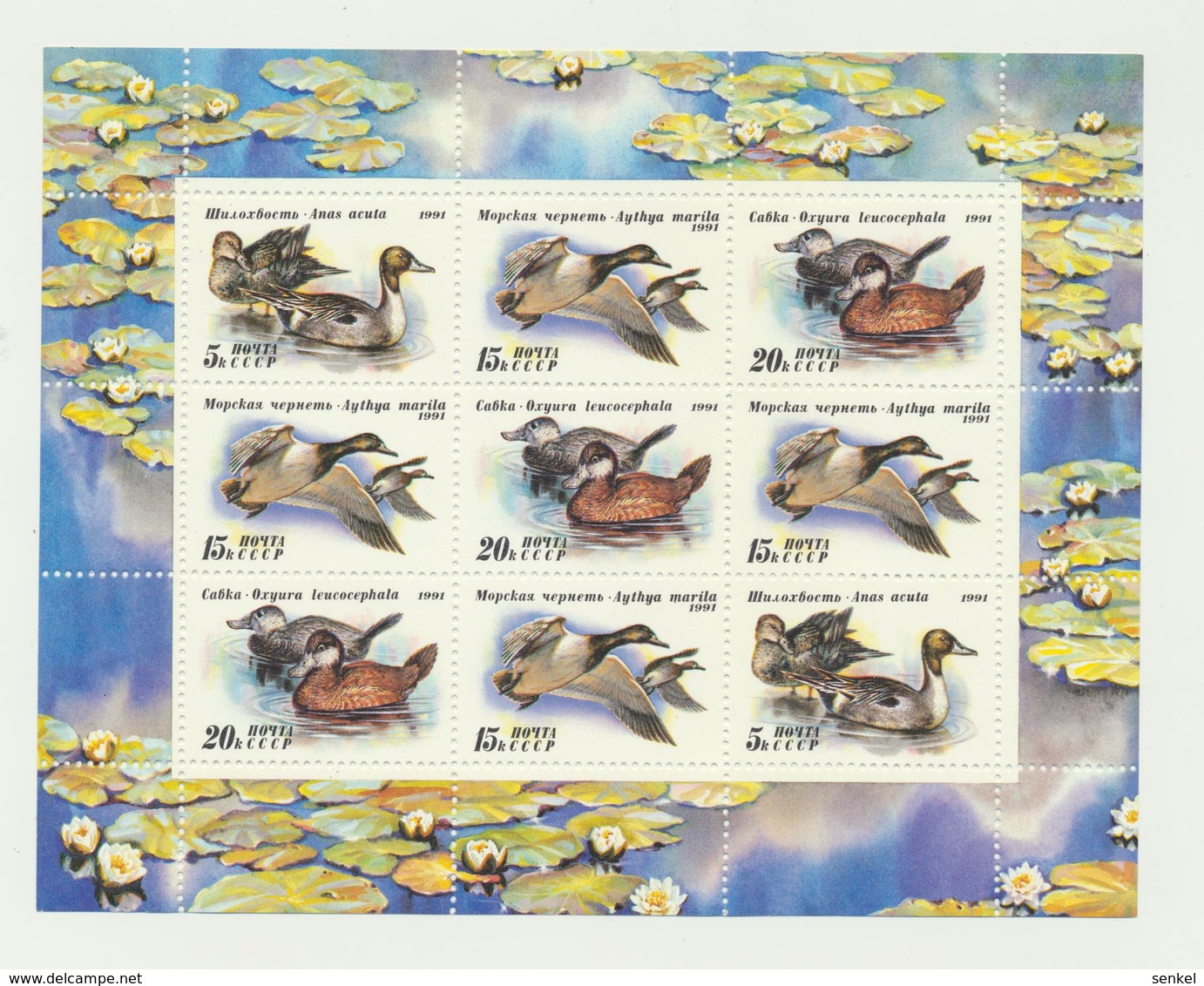 745 USSR 1991 Mi 6210-12  6,0 € Birds Mini Sheet Mint - Sonstige & Ohne Zuordnung