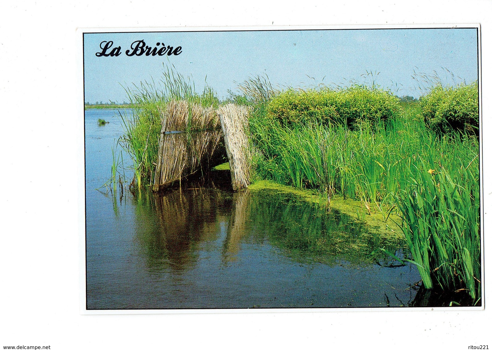 Cpm - Parc Naturel Régional De Brière - Affût De Chasse Dans Le Marais - Cim C34499900007 - Fleur Iris D'eau Jaune - Autres & Non Classés