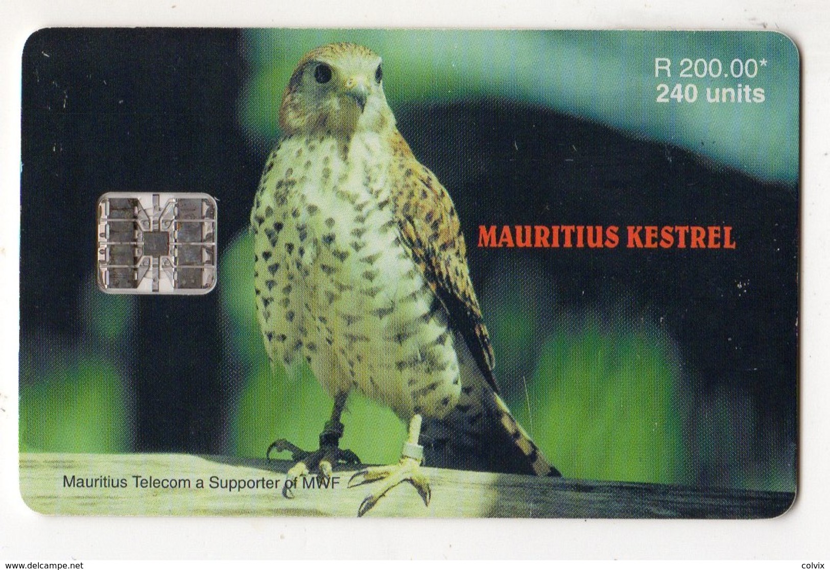MAURICE Ref MV Cards MAU-41  240 U MAURITIUS KESTREL Date 2000 - Mauritius