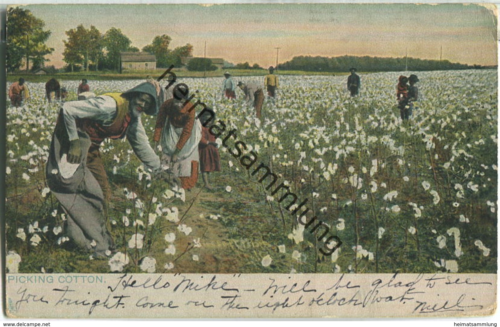 African-Americans - Picking Cotton - Black Americana