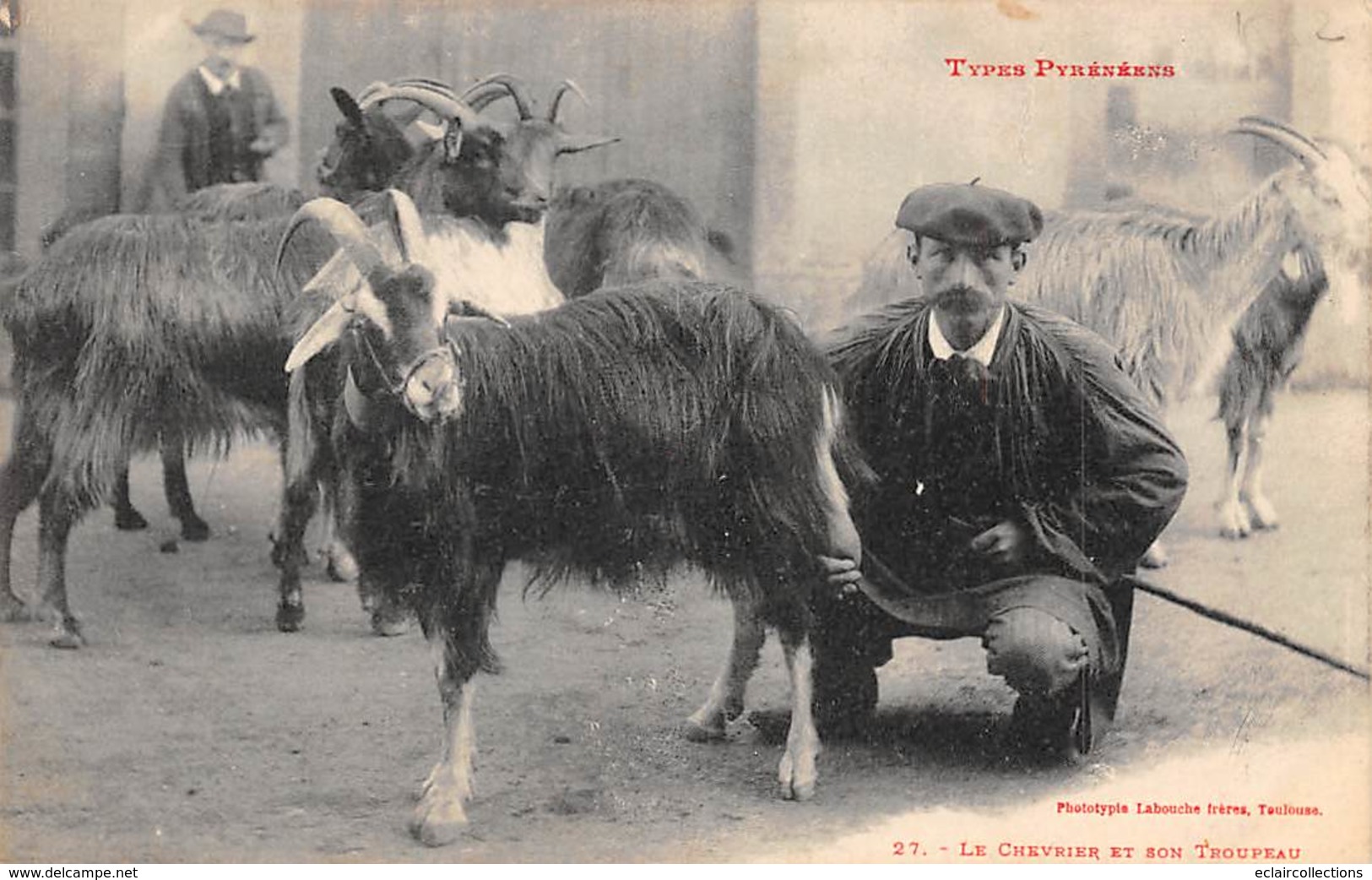 Toulouse    31       Types Toulousains.     Le Chevrier Et Son Troupeau De Chèvres          ( Voir Scan) - Toulouse