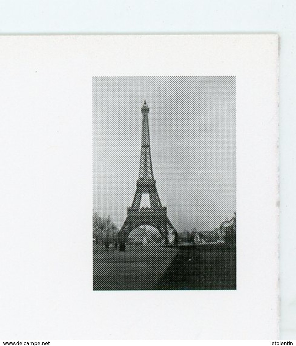 PSEUDO-ENTIER SUR CARTE POSTALE- LA TOUR EIFFEL DE MARTIAL CAILLEBOTTE - - Enteros Privados