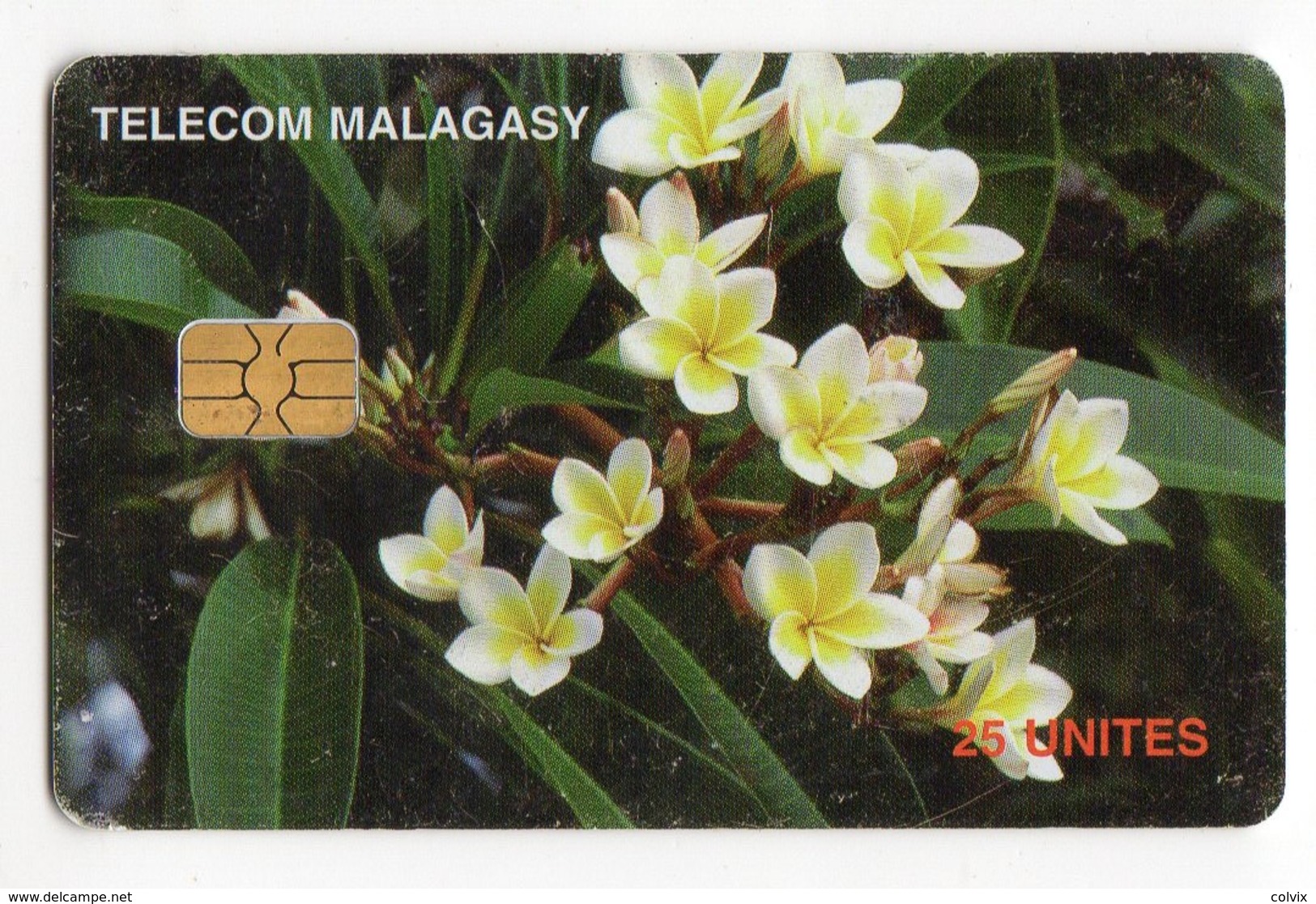 MADAGASCAR Ref MV Cards MDG-47 25U FRANGIPANNI FLOWERS - Madagaskar