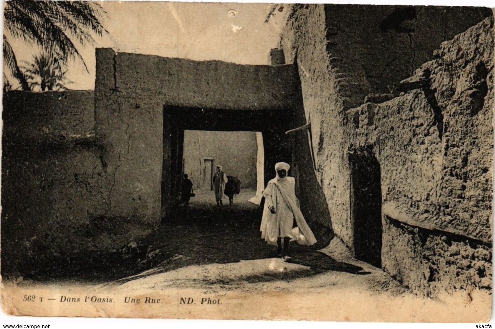 CPA AK TUNISIE Dans L'Oasis-Une Rue (268836) - Tunisia