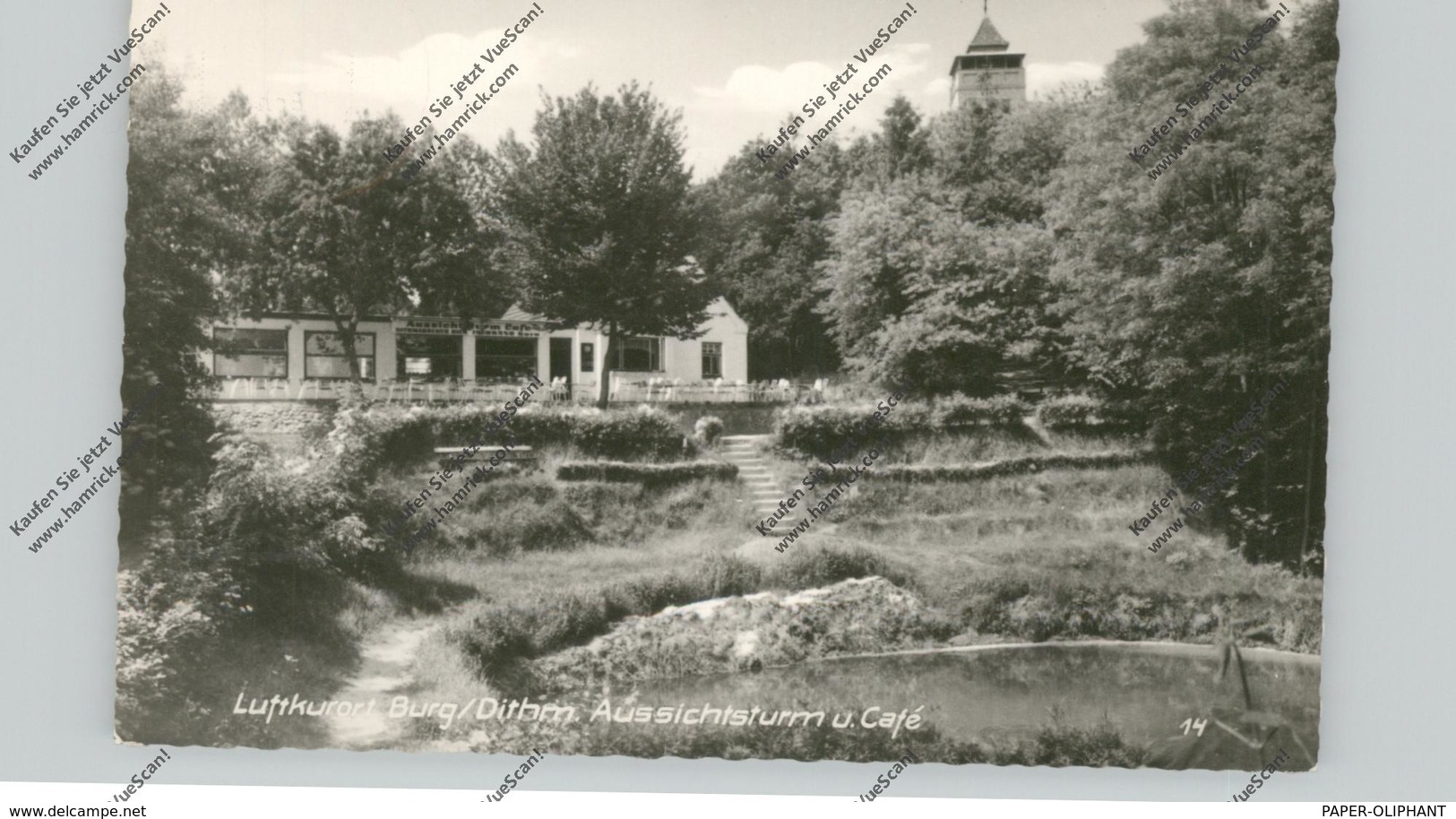 2224 BURG / Dithmarschen, Aussichtsturm Und Cafe - Heide