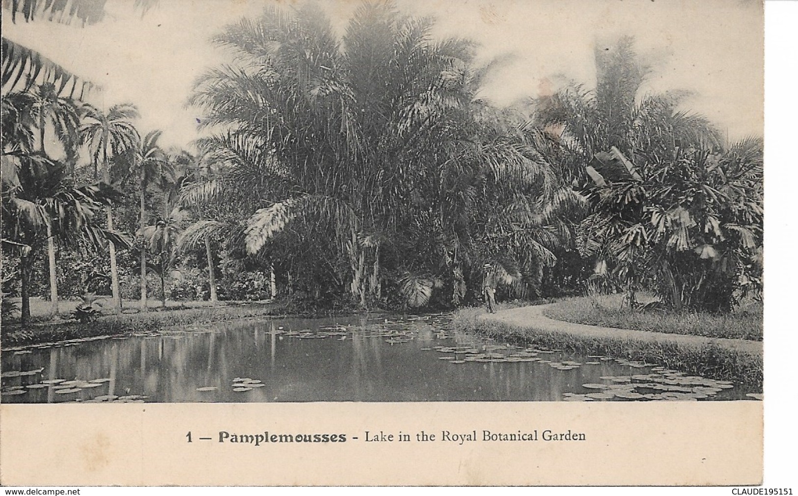 MAURICE       PAMPLEMOUSSE  LAKE OF THE ROYAL BOTANICAL GARDEN   EDIT  R. BOURGAULT  DU COUDRAY - Mauricio