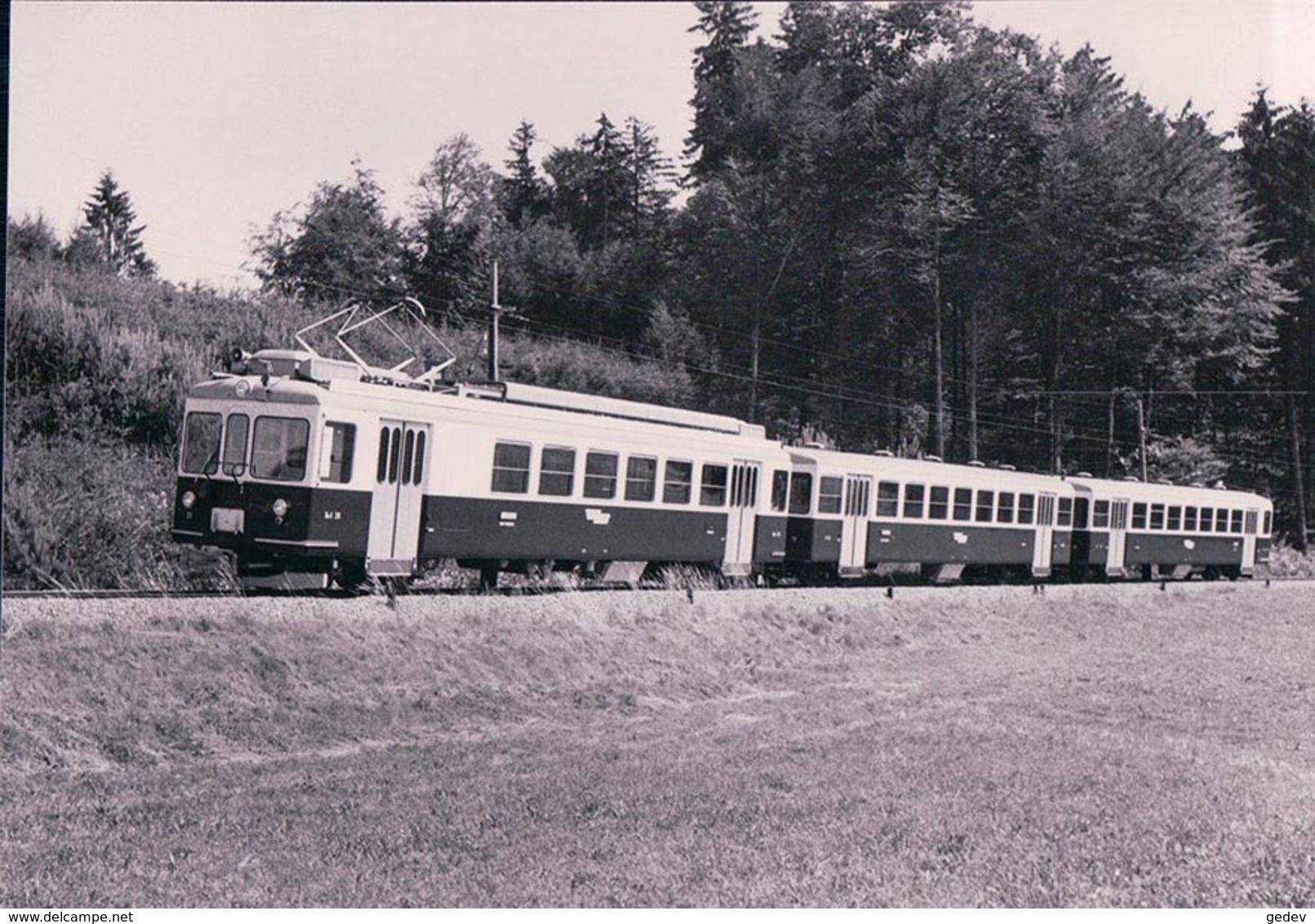 Chemin De Fer Lausanne Echallens Bercher, Train à Fey, Photo 1967 LEB 55905 - Bercher