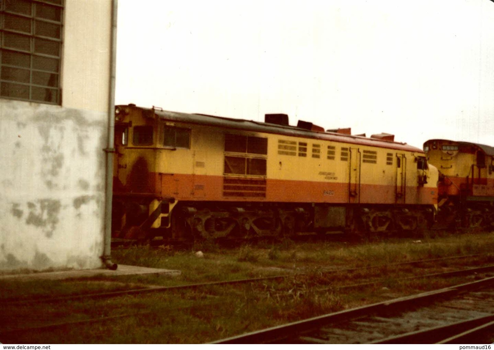 Lot De 3 Photographies D'une Locomotive 842 - Reproduction - Trains