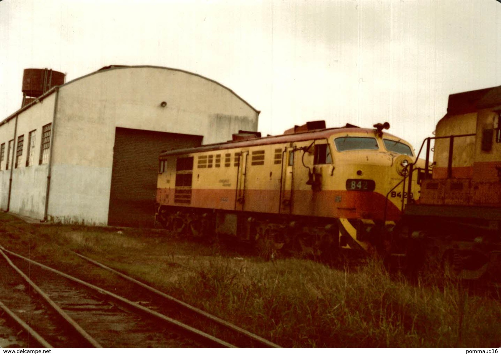 Lot De 3 Photographies D'une Locomotive 842 - Reproduction - Trains