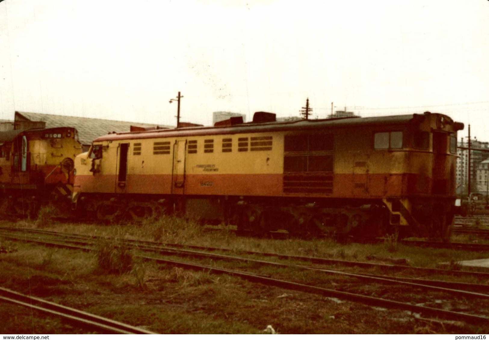 Lot De 3 Photographies D'une Locomotive 842 - Reproduction - Trains