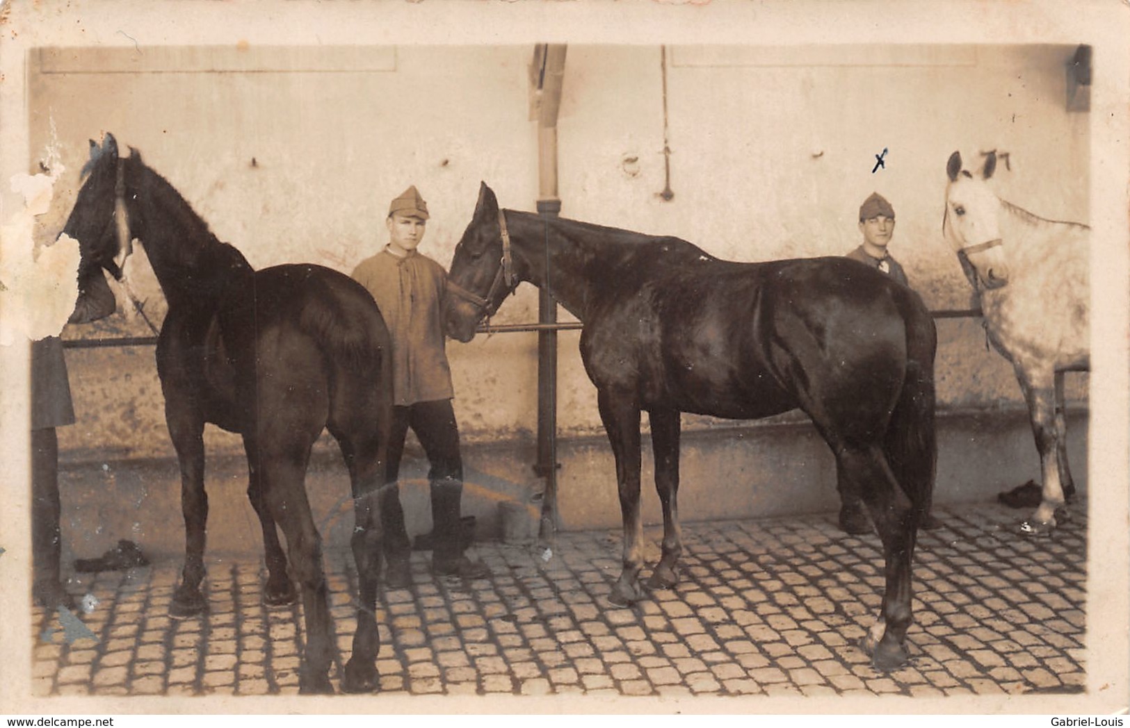 Bulach - Militaria - Armée Suisse - Soldats -  Schweizer Armee -  Pferde - Bülach