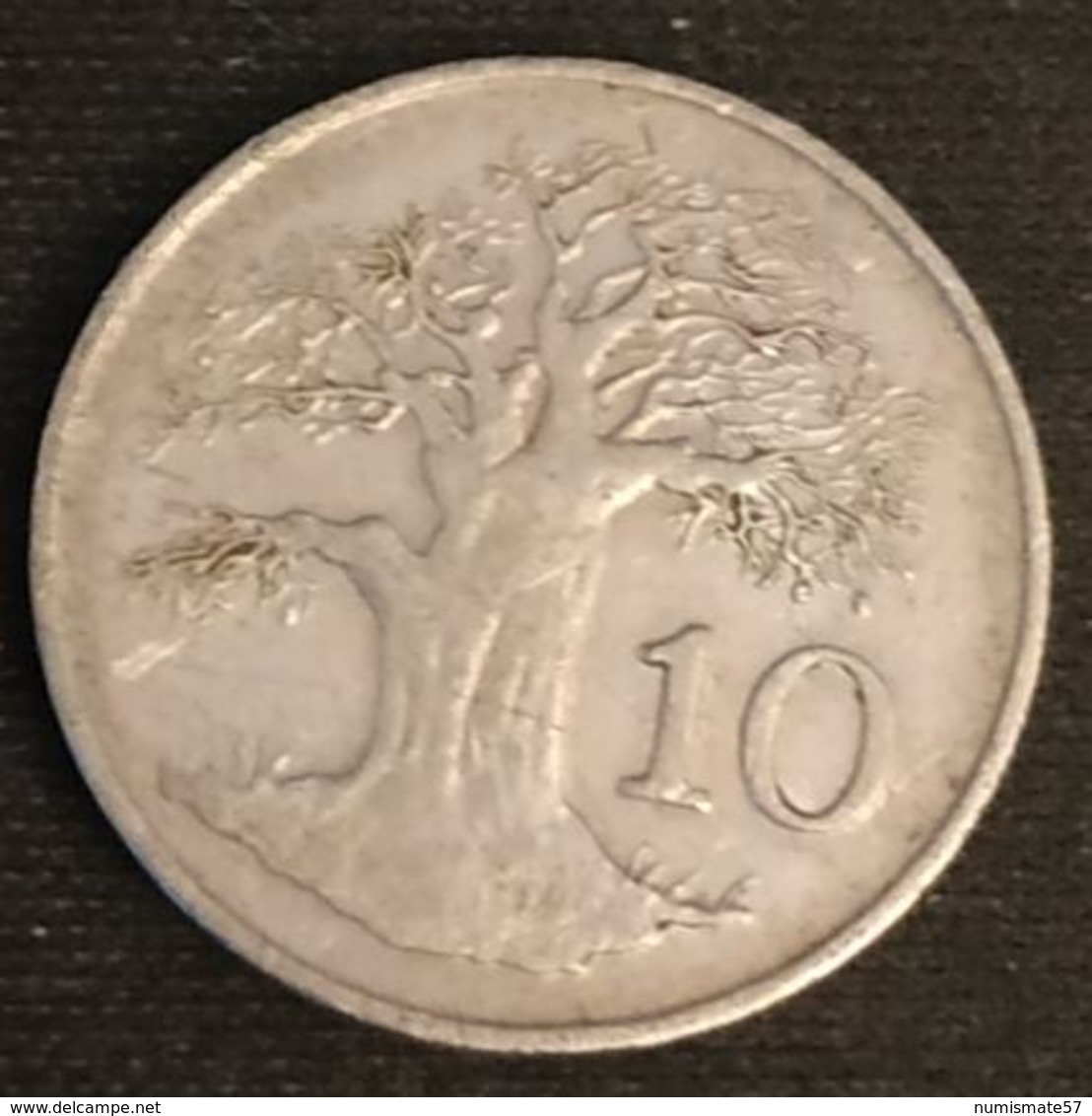 ZIMBABWE - 10 CENTS 1980 - Baobab - KM 3 - Zimbabwe