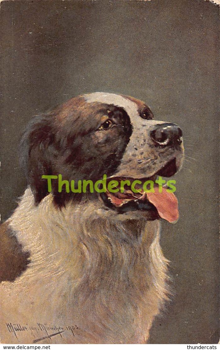 CPA ILLUSTRATEUR AUGUST MULLER MUNCHEN CHIEN ARTIST SIGNED DOG - Mueller, August - Munich